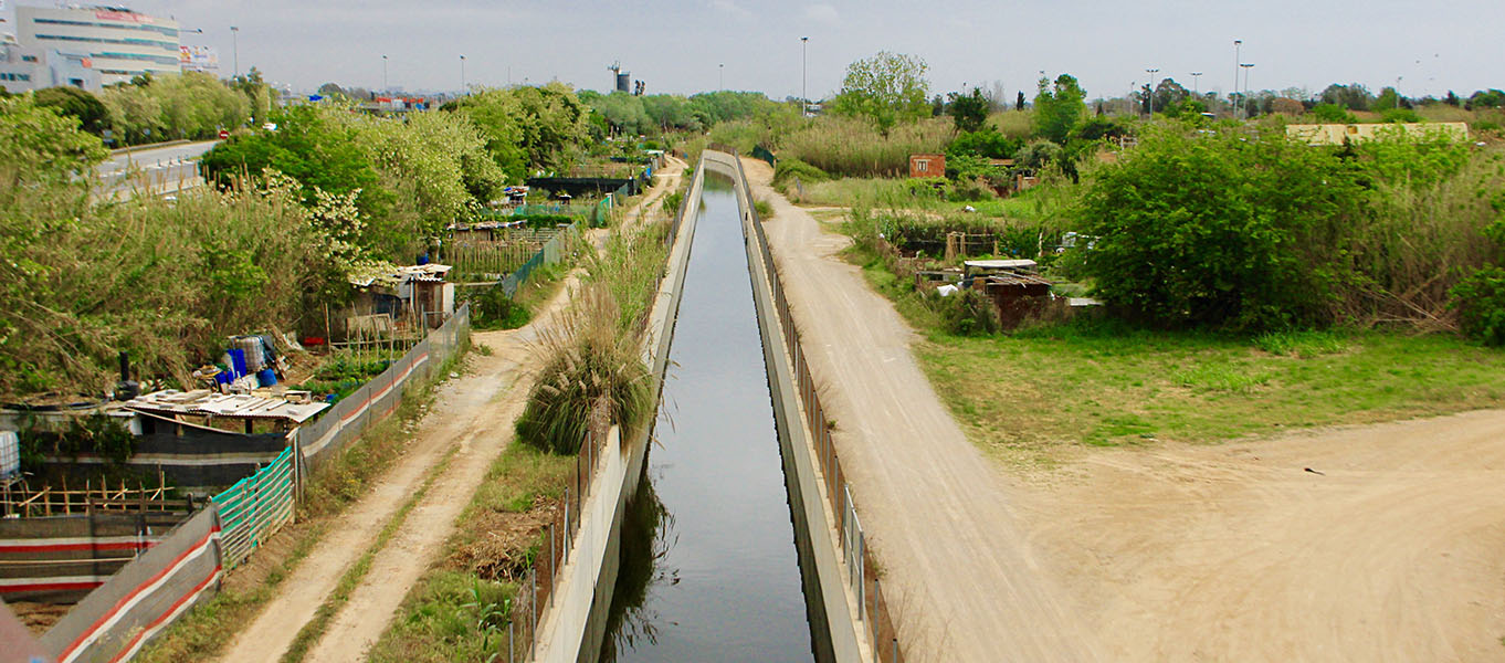 Livic team conducting road survey in Telangana